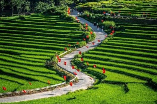 Thanh Hóa – Pù Luông: Ruộng Bậc Thang Mùa Lúa Chín 2N1Đ