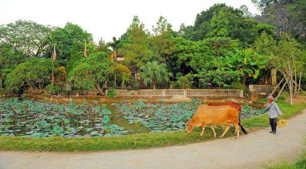 LÀNG CỔ ĐÔNG SƠN